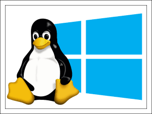 Sąsiedztwo? Nie, Wspólnota. Jak zainstalować Linux obok systemu Windows 10