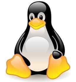 Šiek tiek apie „Linux“