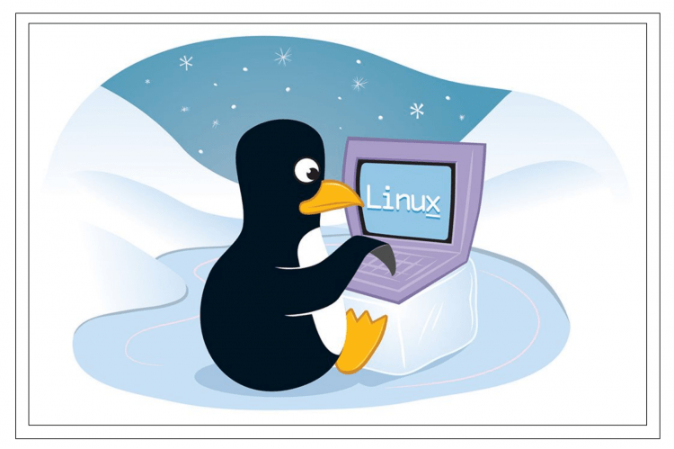 Розподіл Linux для нетбука