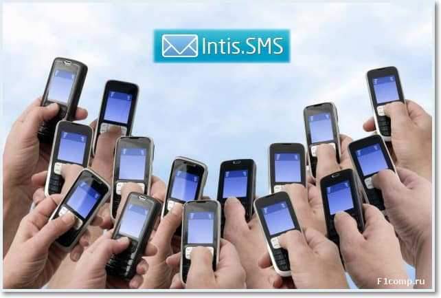 Jak zrobić biuletyn SMS? Testujemy usługę Intis.SMS.