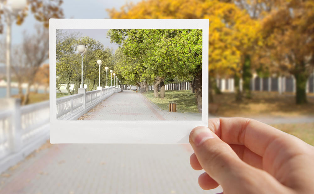 Programme zur Arbeit mit Foto im RAW -Format