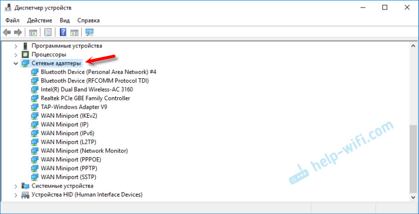 Netzwerkadapter im Windows Devices Manager