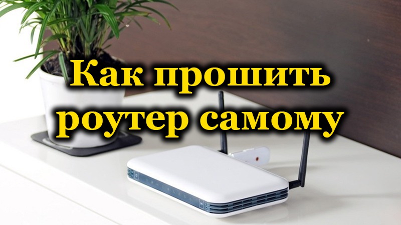 Как да актуализирате фърмуер с Wi-Fi Roatter със собствените си ръце