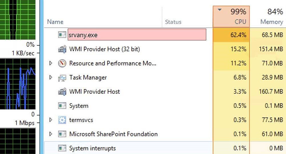 За що відповідає процес Srvany.Exe і чи можливо його зняти