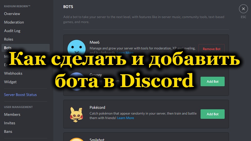 Vytváranie a pridanie robota do Discord